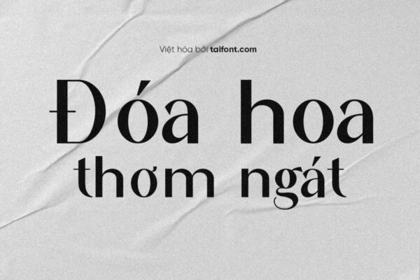 Font Augent Việt Hóa – Font Không Chân Thanh Mảnh Sang Trọng