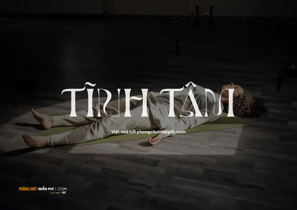 Font chữ Việt hoá BROWN VOLKY (Bộ 2 Font)