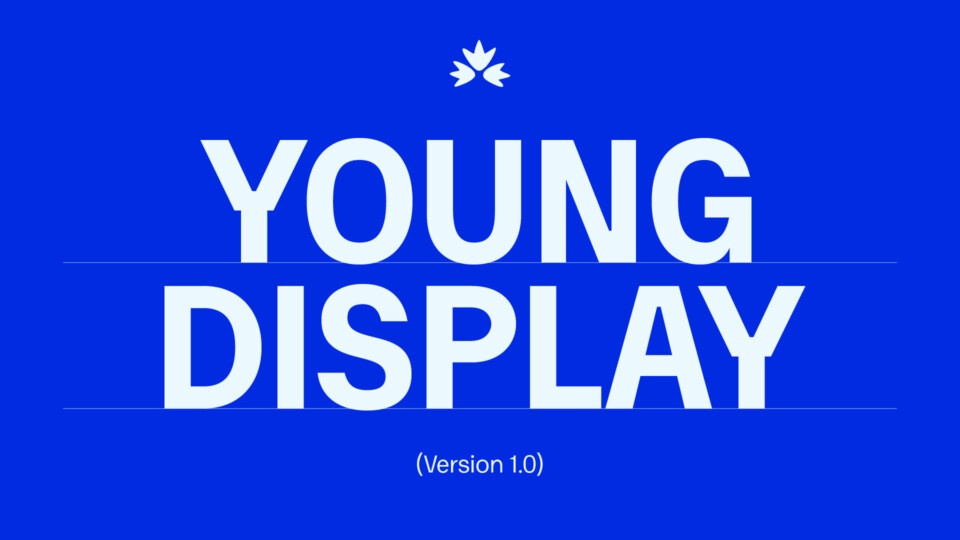 Font Tiếng Việt Young Display