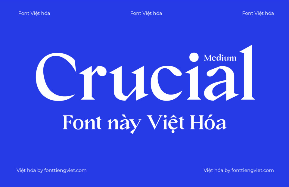 Font Việt hóa Crucial Medium ( 2 file )