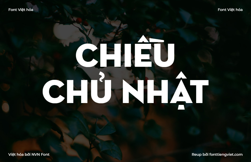 Font Việt hoá NVN Neutra Vintage
