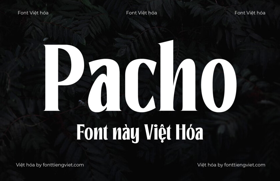 Font Việt hóa Pacho