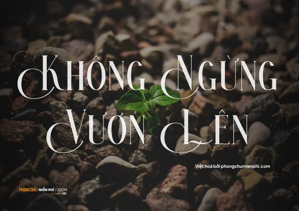 Font Việt hoá  Activists Regular