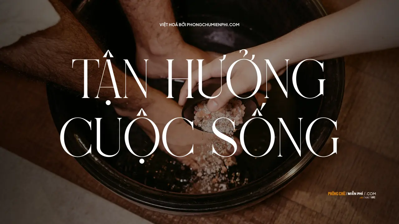 Font Việt hoá VIP Sannesy