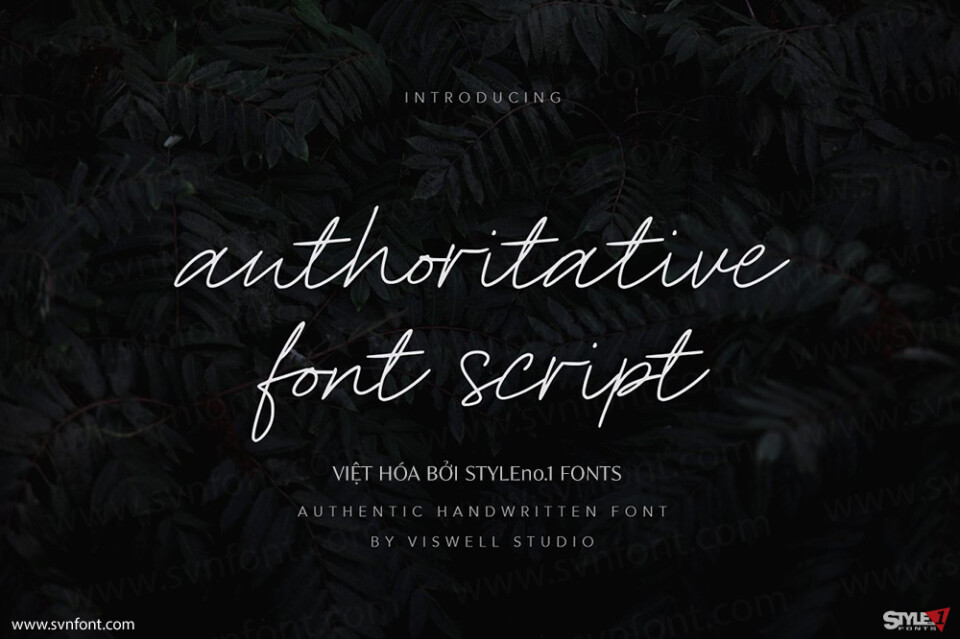 Font Việt hóa SVN Authoritative