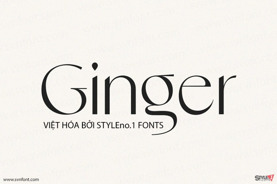 Font việt hóa SVN Ginger