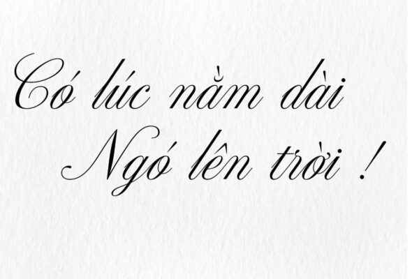 Font Việt hóa TDF_ Altesse Std Regular