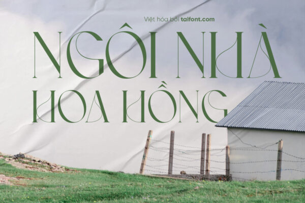 Font Việt hóa TF Aegeo