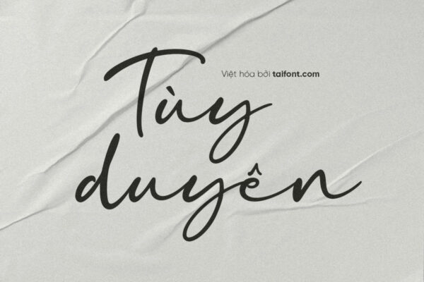 Font Việt hóa TF Amorgetwin