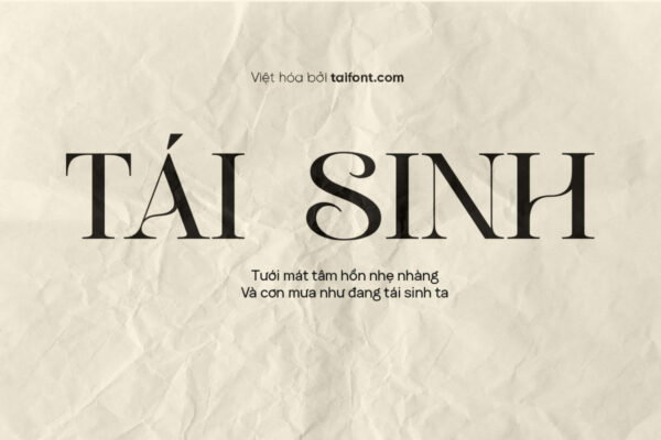 Font Việt hóa TF Borias – Font sang trọng, tinh tế