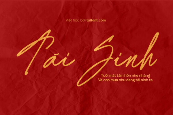 Font Việt hóa TF Borias Signature