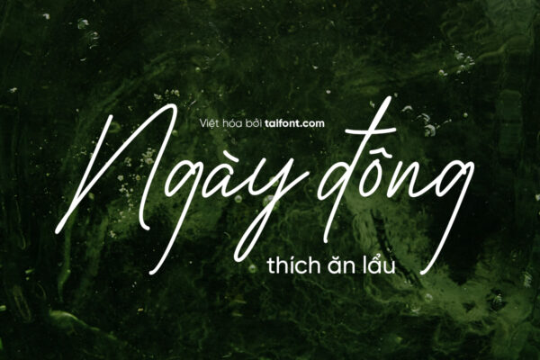 Font Việt hóa TF Brigitha Signature