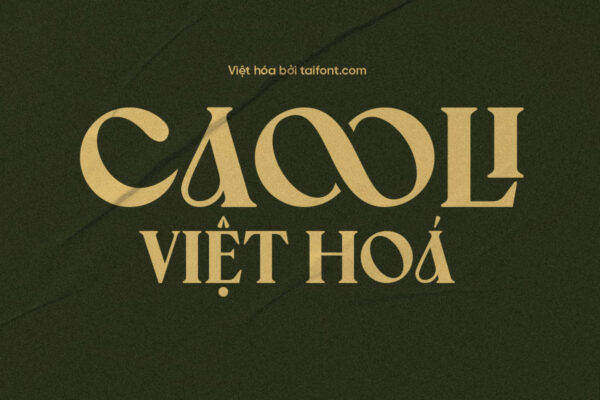 Font Việt hóa TF Caooli