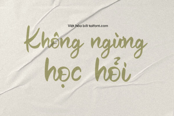 Font Việt hóa TF Claudias