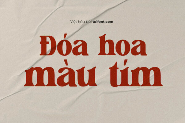 Font Việt hóa TF Flagfies