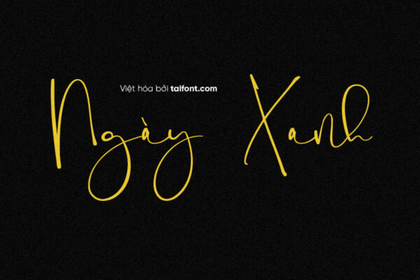 Font Việt hóa TF Holy Type
