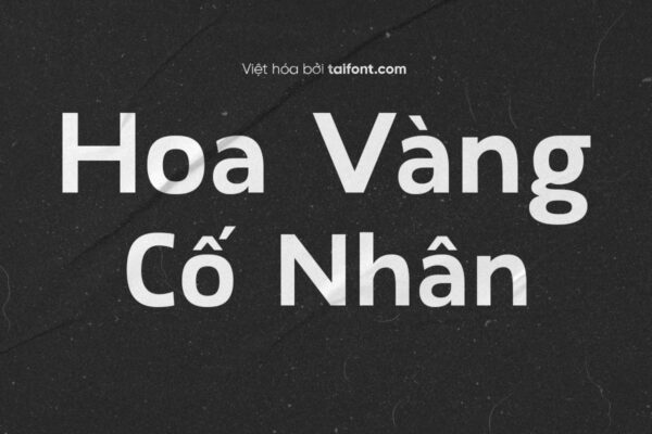 Font Việt hóa TF Lairé Sans Bold