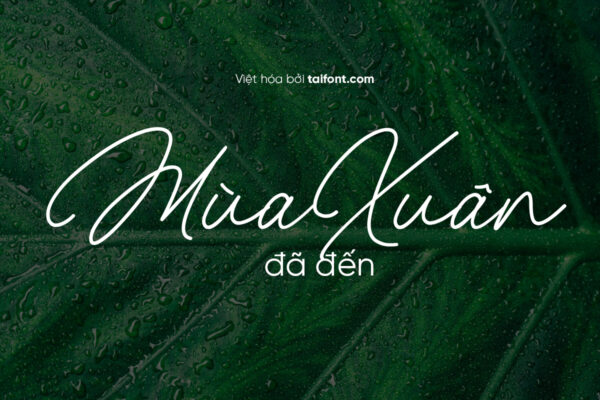 Font Việt hóa TF Michellina