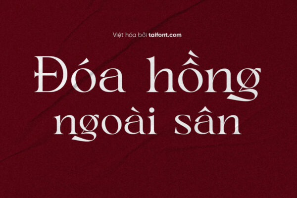 Font Việt hóa TF Mixone – Font sang trọng