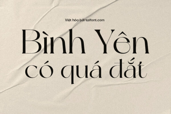 Font Việt hóa TF NewYork