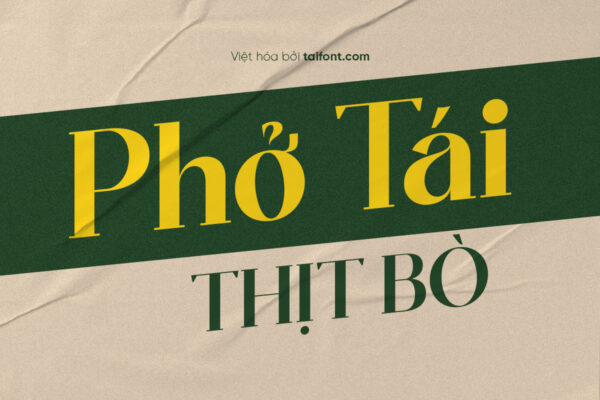 Font Việt hóa TF Ozilic