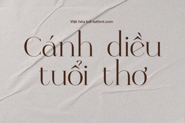 Font Việt hóa TF Raclie