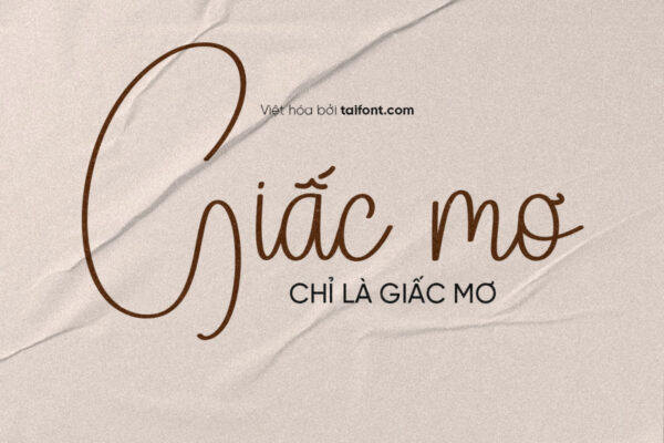 Font Việt hóa TF Rainyday