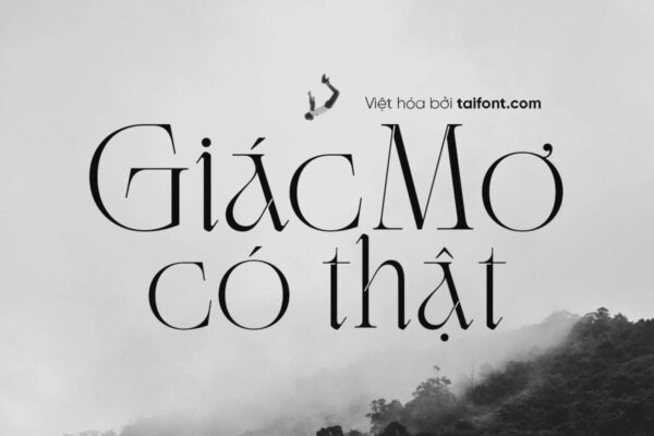 Font Việt hóa TF Relimuss
