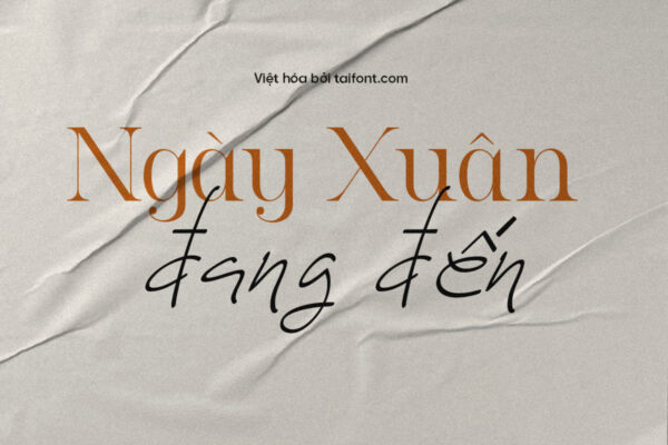 Font Việt hóa TF Roze Belinda Regular và Script