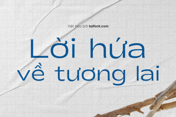 Font Việt hóa TF Shinko Sans