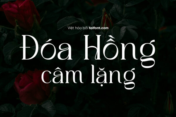 Font Việt hóa TF Stylish Coastial