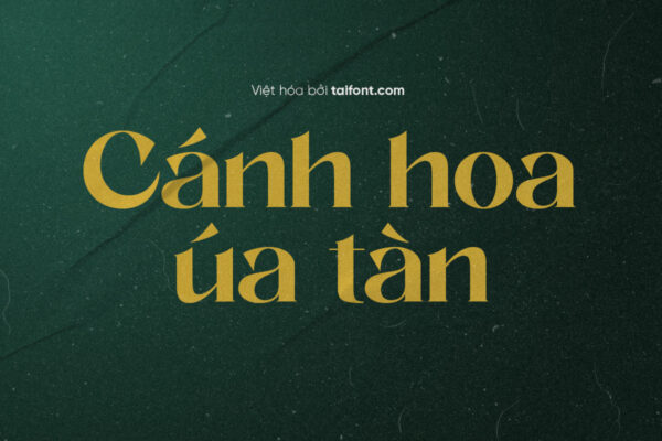 Font Việt hóa TF Volter Black