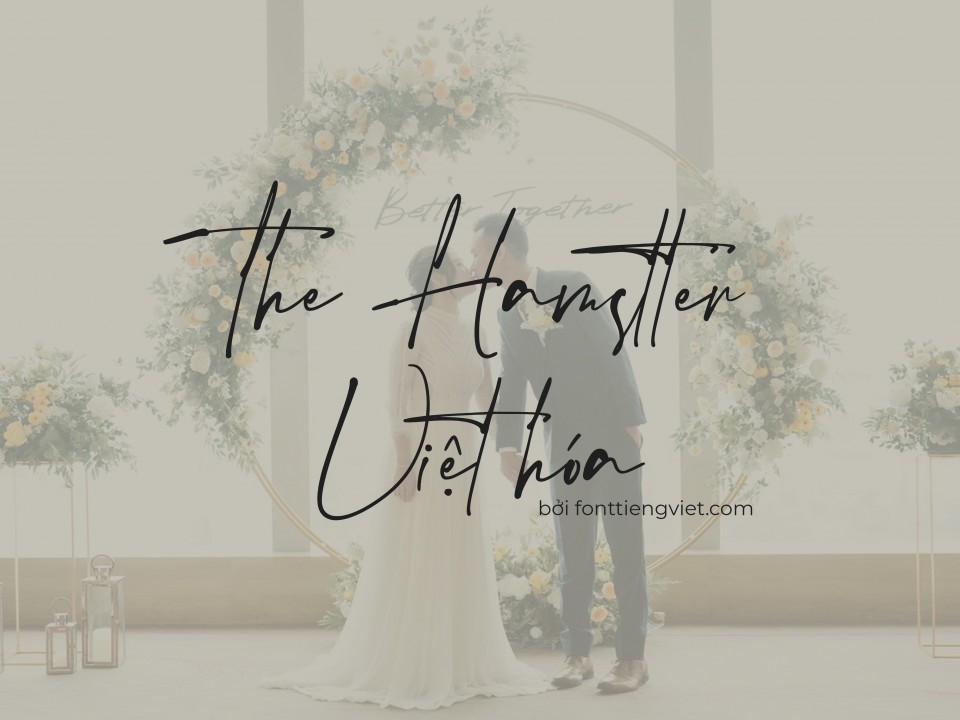 Font việt hóa The Hamstter