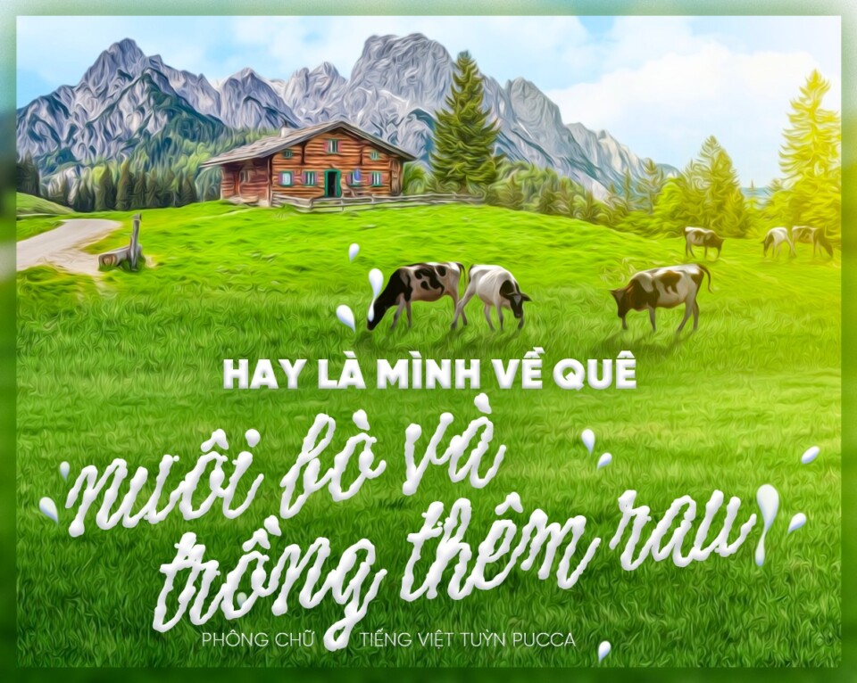 Font Việt hóa TP Liquida