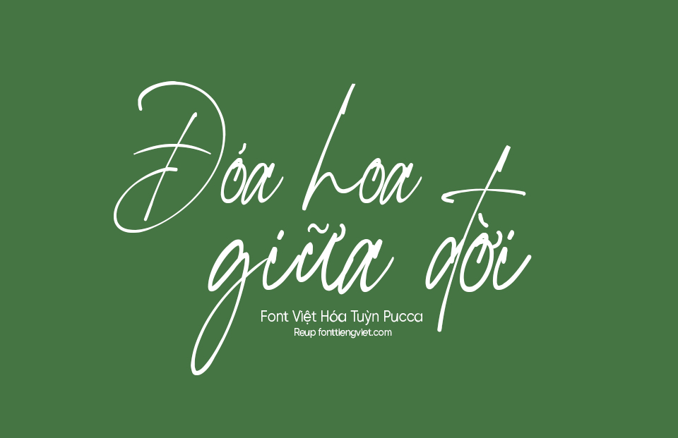 Font Việt hóa TP Rottis Amesty