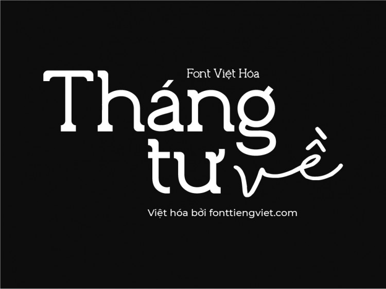 Font việt hóa Vinylbuzz
