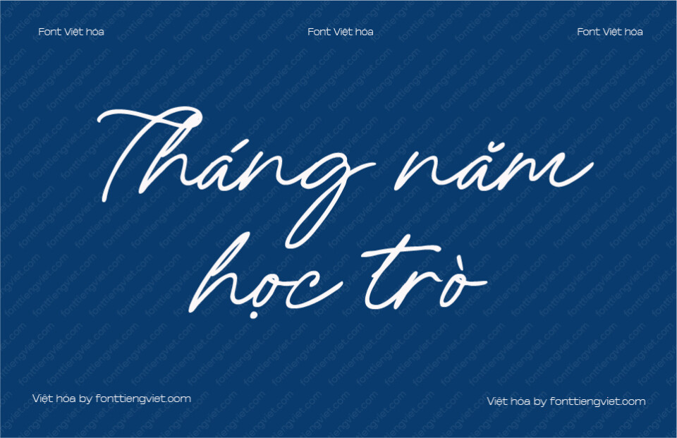 Font Việt hóa VIP Amely Shine