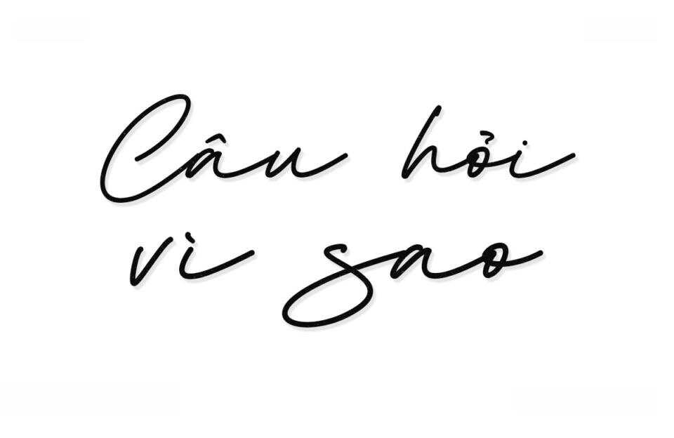 Font Việt hóa VIP Festigan