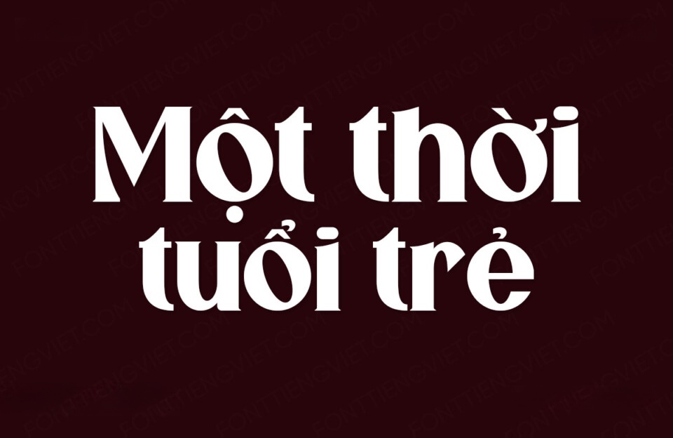 Font Việt hóa VIP Lumiare