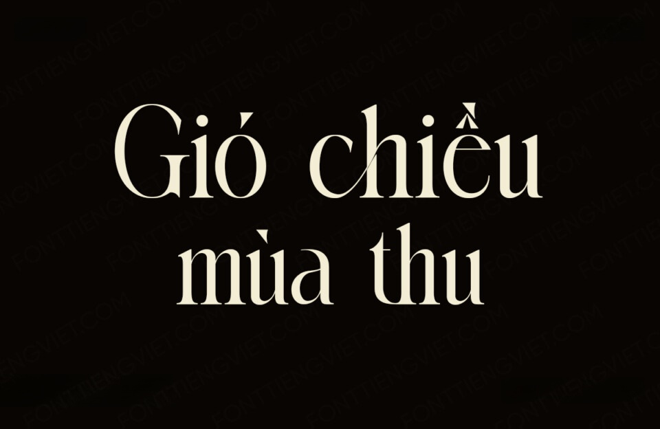 Font Việt hóa VIP Memory