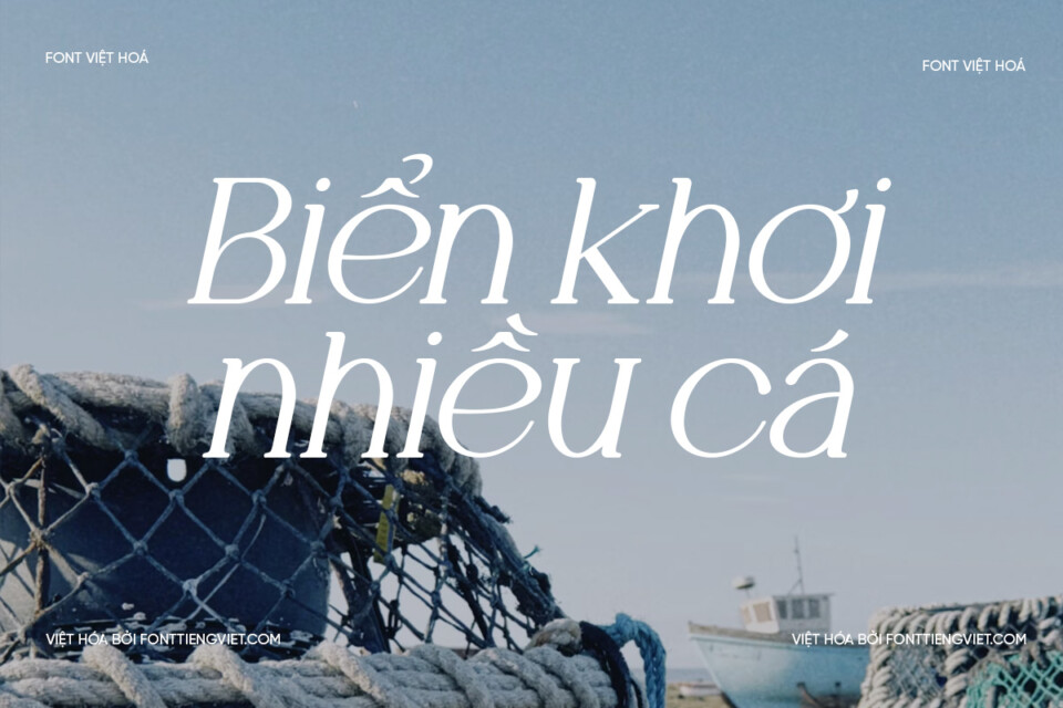 Font Việt hóa VIP MOELA Italic
