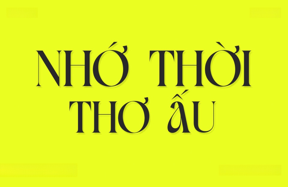 Font Việt hoá VIP Moves Cabse