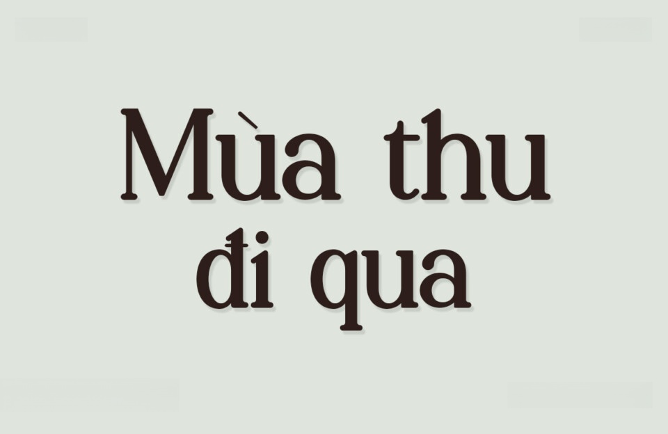 Font Việt hóa VIP Palenk Radney