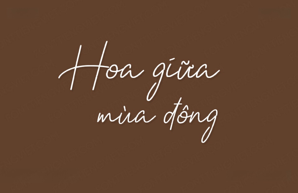Font Việt hóa VIP Raylene