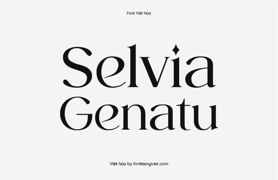 Font Việt hóa VIP Selvia Genatu