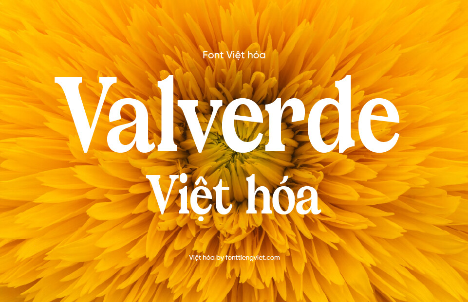 Font Việt hóa VIP Valverde