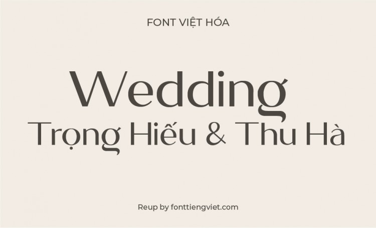 Font việt hoá VL Megante